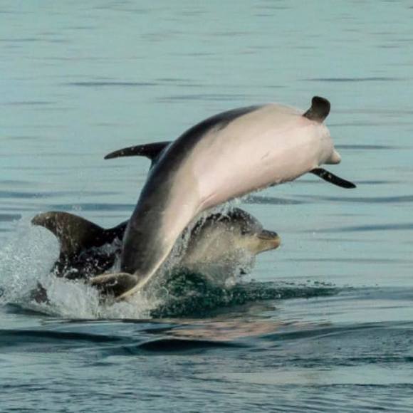 Meet your Posher, Kelly - Picture 1 of 1